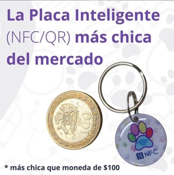 Placa Inteligente - Imagen 5